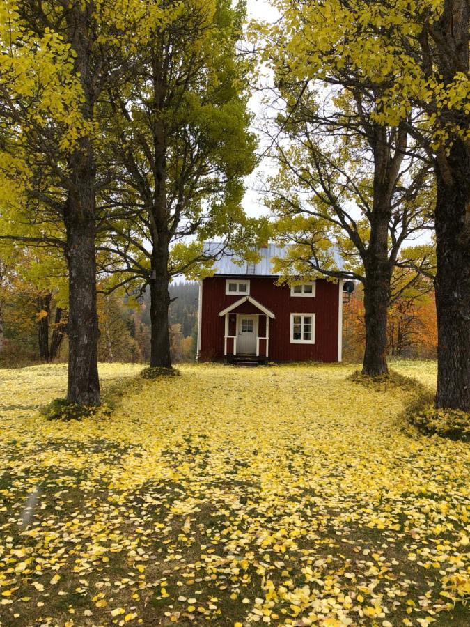 Valagardens Vaerdshus Och Camping Ab Vålådalen Zewnętrze zdjęcie
