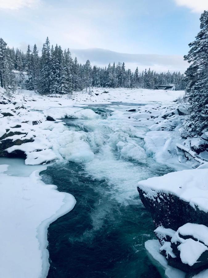 Valagardens Vaerdshus Och Camping Ab Vålådalen Zewnętrze zdjęcie
