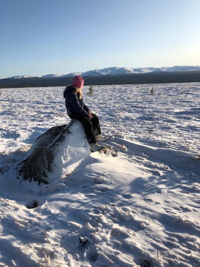 Valagardens Vaerdshus Och Camping Ab Vålådalen Zewnętrze zdjęcie